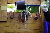 J&auml;gertaufe 2025